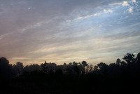 Dawn Sky, Alabama