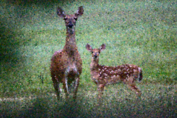 Mother and Fawn, Cubist effect